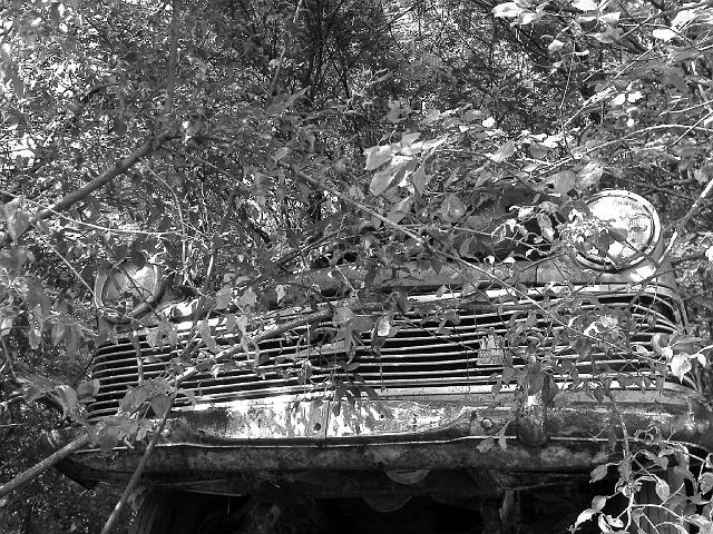 Autofriedhof - 153.JPG - Historischer Autofriedhof,    Gürbetal (CH)